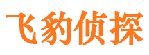 奉新市私家侦探